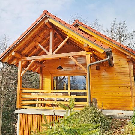 Ica - Hisica V Hribih Villa Kamnik Eksteriør bilde
